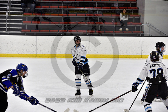 _GSP2125 (Copy)