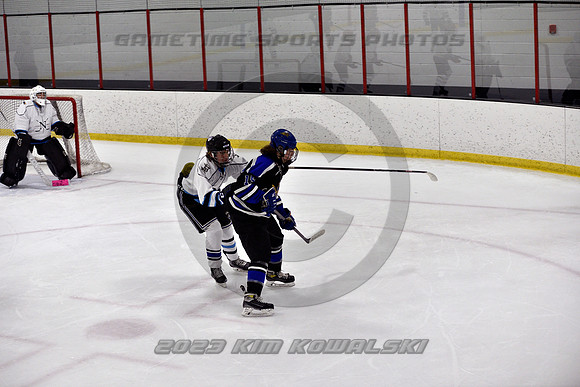 _GSP2085 (Copy)