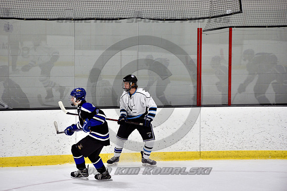 _GSP2128 (Copy)