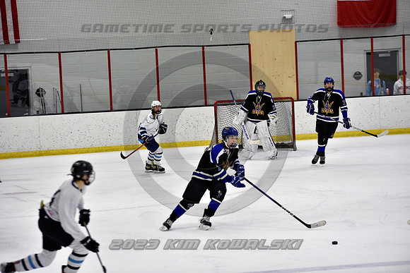 _GSP2173 (Copy)