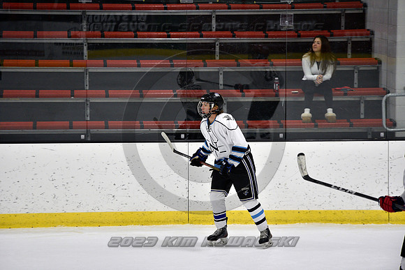 _GSP2129 (Copy)