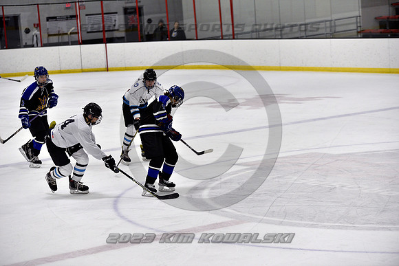 _GSP2175 (Copy)