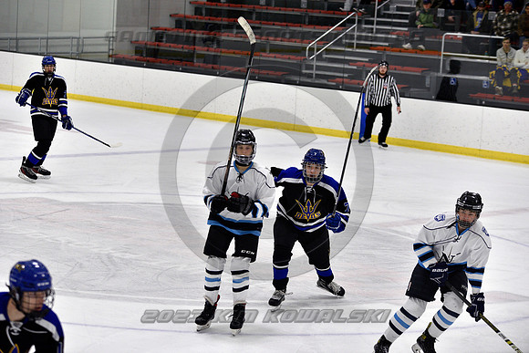 _GSP2131 (Copy)