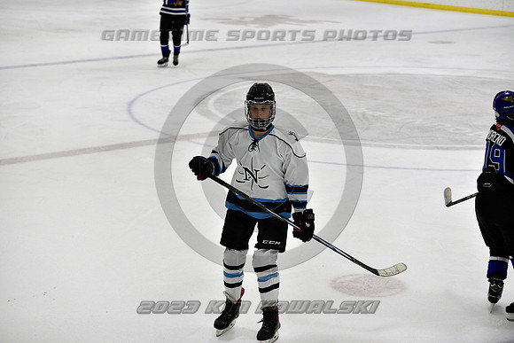 _GSP2132 (Copy)