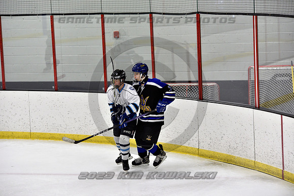 _GSP2134 (Copy)