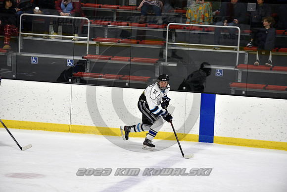_GSP2137 (Copy)