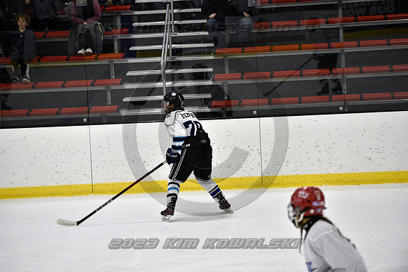 _GSP2095 (Copy)