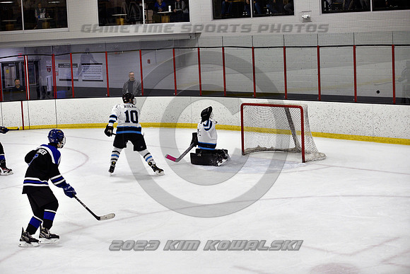 _GSP2139 (Copy)