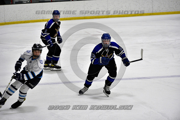 _GSP2101 (Copy)