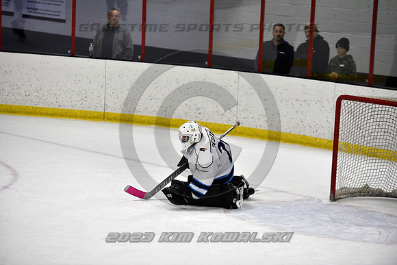 _GSP2235 (Copy)