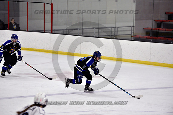 _GSP2151 (Copy)