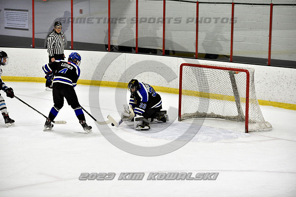 _GSP2335 (Copy)