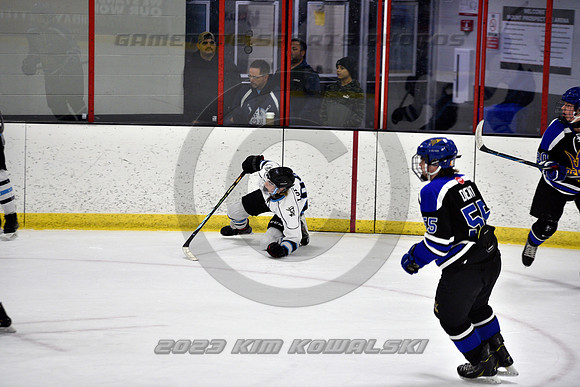 _GSP2295 (Copy)