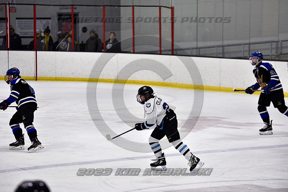_GSP2115 (Copy)