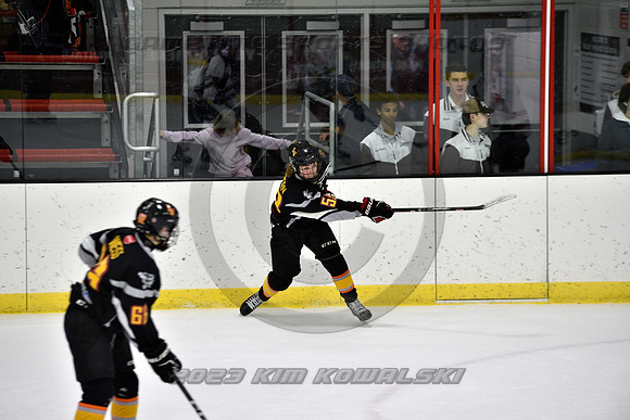 _GSP2411 (Copy)