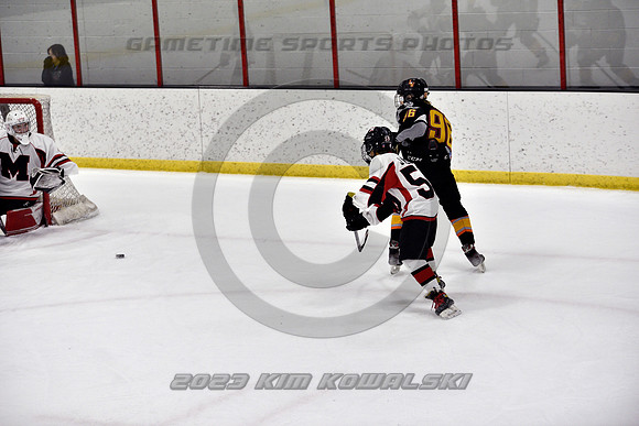 _GSP2529 (Copy)