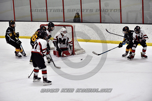 _GSP2531 (Copy)