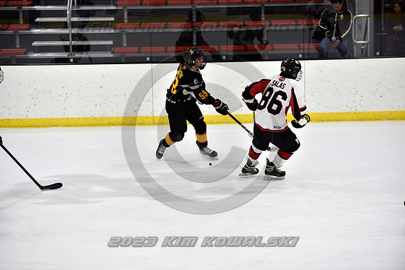_GSP2474 (Copy)