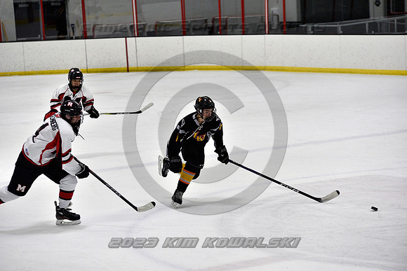 _GSP2429 (Copy)