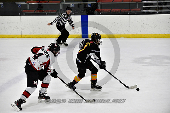 _GSP2431 (Copy)