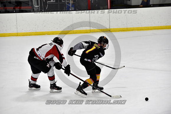 _GSP2433 (Copy)