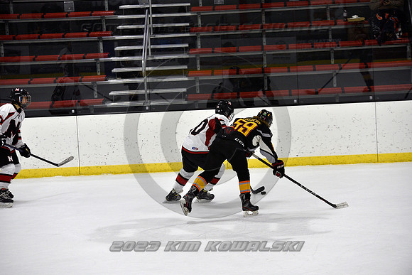 _GSP2621 (Copy)