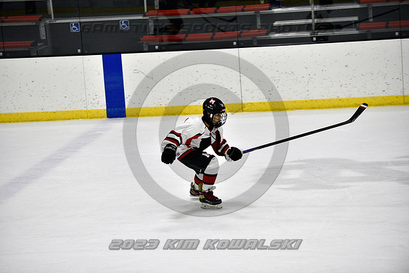 _GSP2452 (Copy)