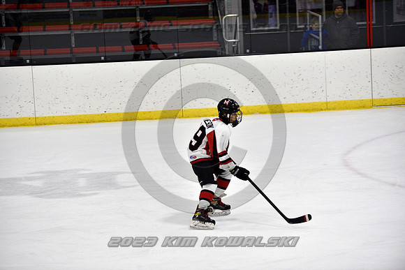 _GSP2453 (Copy)