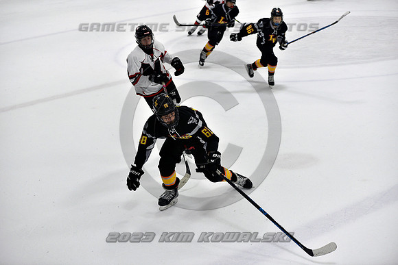 _GSP2513 (Copy)