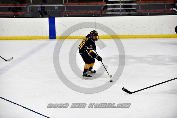 _GSP2521 (Copy)