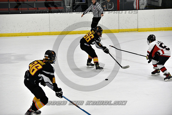 _GSP2523 (Copy)