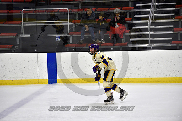_GSP0833 (Copy)