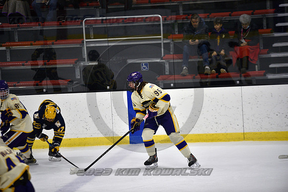 _GSP0859 (Copy)