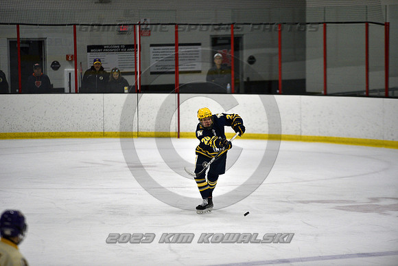 _GSP0860 (Copy)