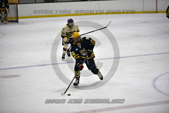 _GSP0863 (Copy)