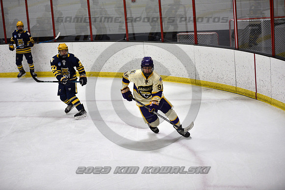 _GSP0881 (Copy)