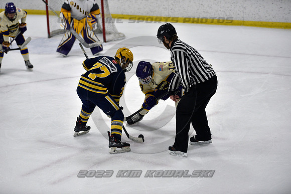 _GSP0886 (Copy)