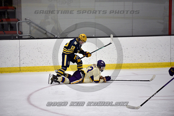 _GSP0893 (Copy)