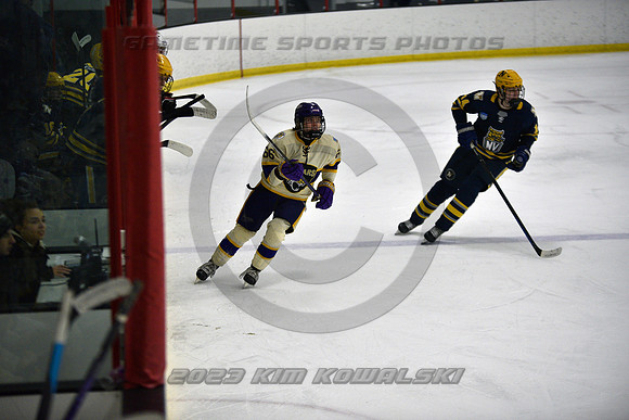 _GSP0895 (Copy)