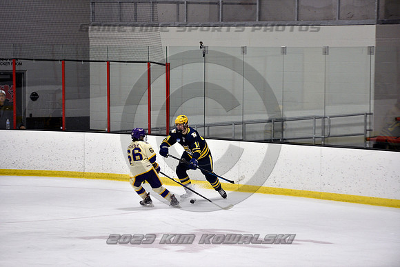 _GSP0946 (Copy)