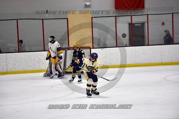 _GSP0955 (Copy)