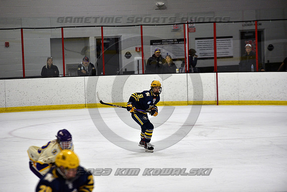 _GSP0958 (Copy)