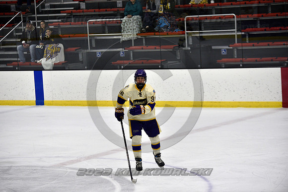 _GSP0968 (Copy)