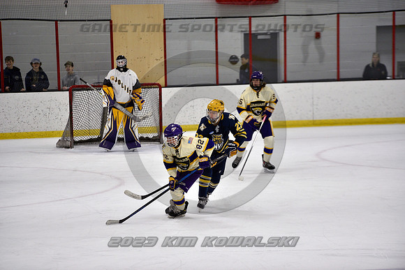 _GSP0981 (Copy)