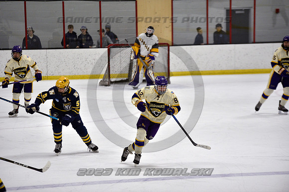 _GSP0982 (Copy)