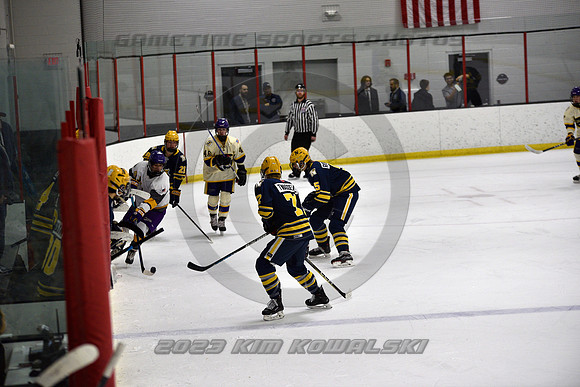_GSP0994 (Copy)