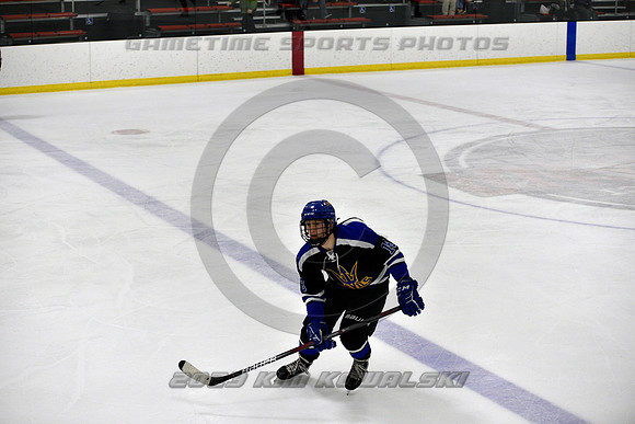 _GSP3184 (Copy)