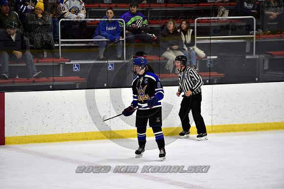 _GSP3207 (Copy)