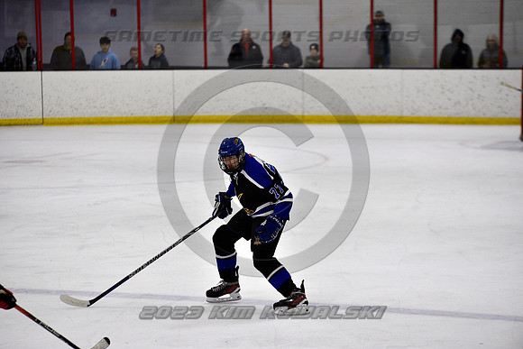 _GSP3219 (Copy)