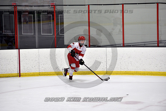 _GSP3227 (Copy)